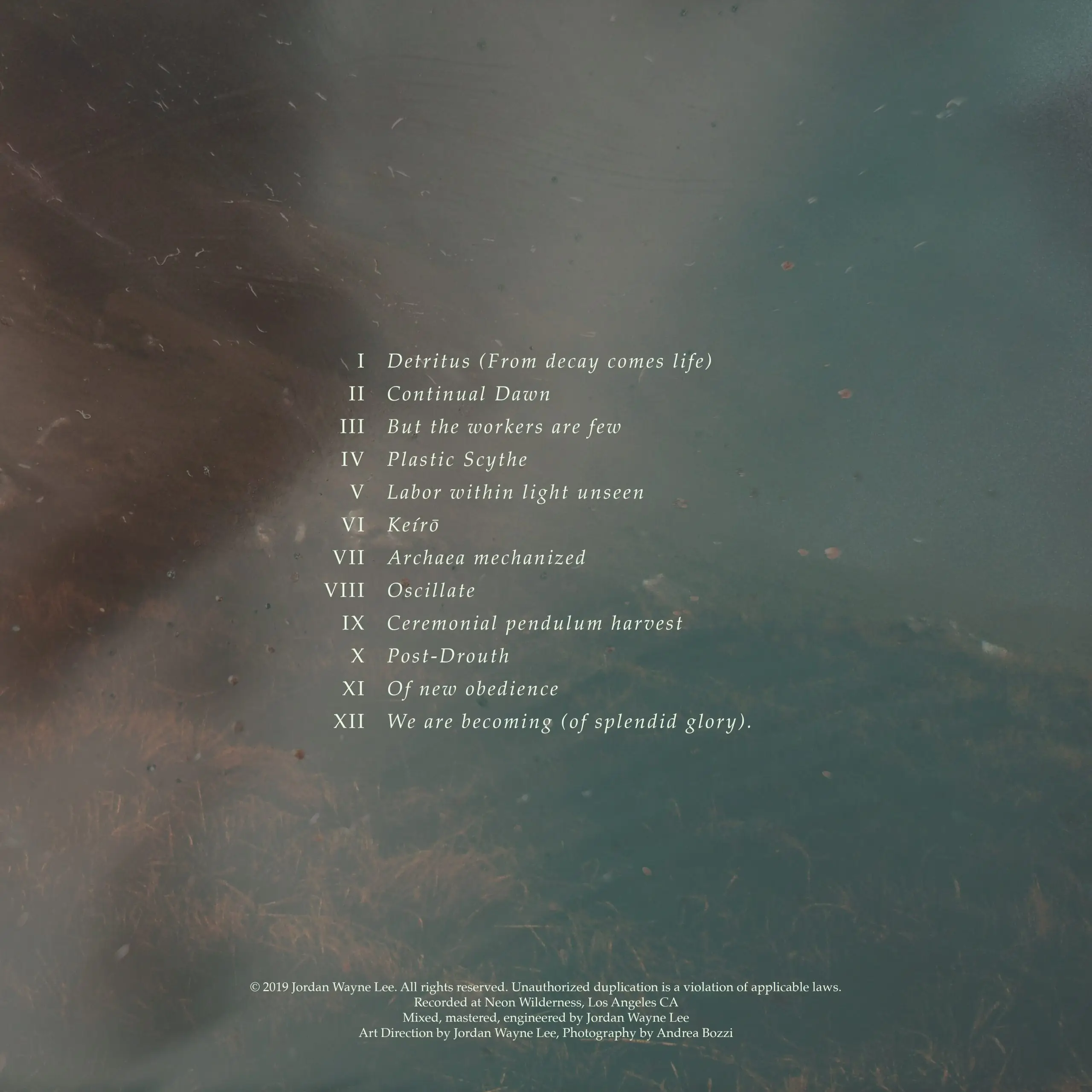 new fields album art hi res back