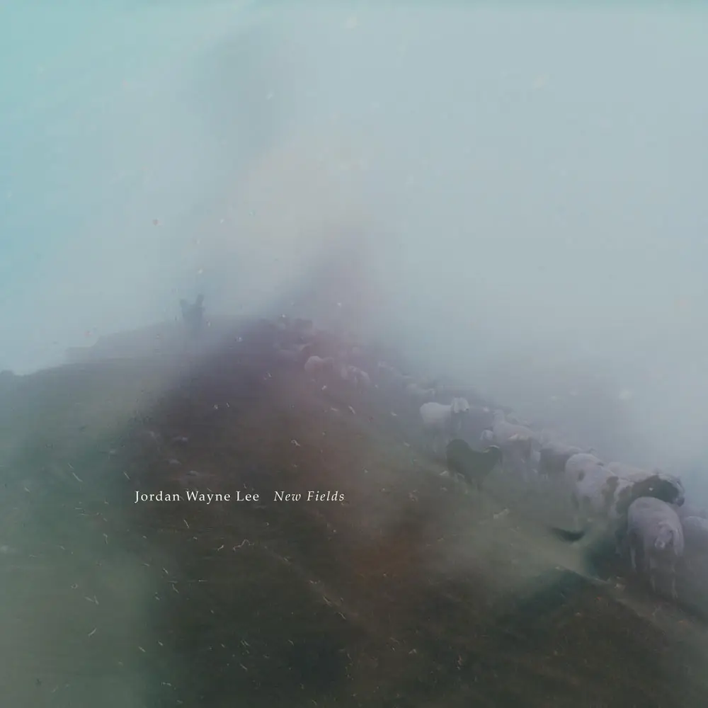 New Fields album art