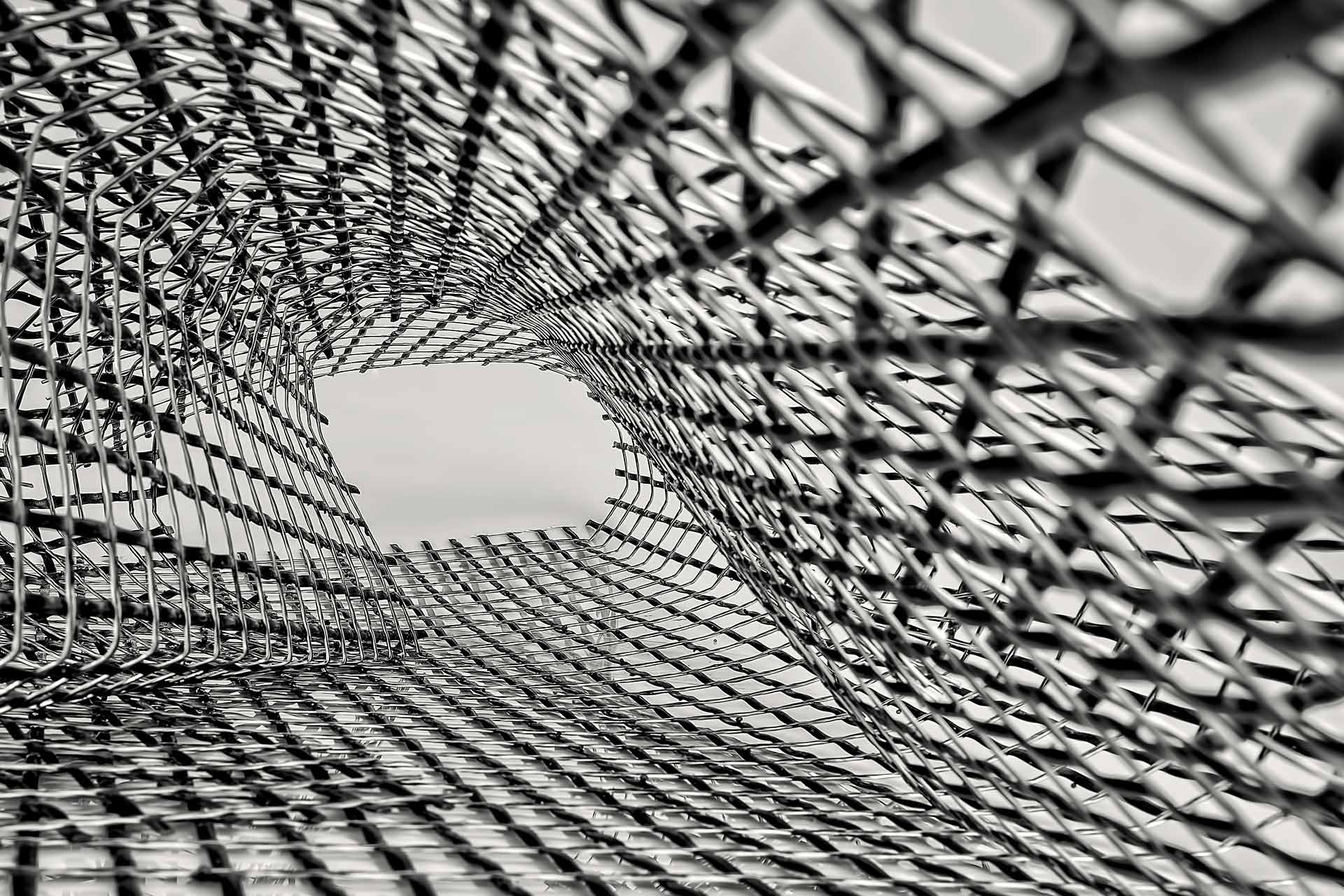 Understanding brand value for future business growth