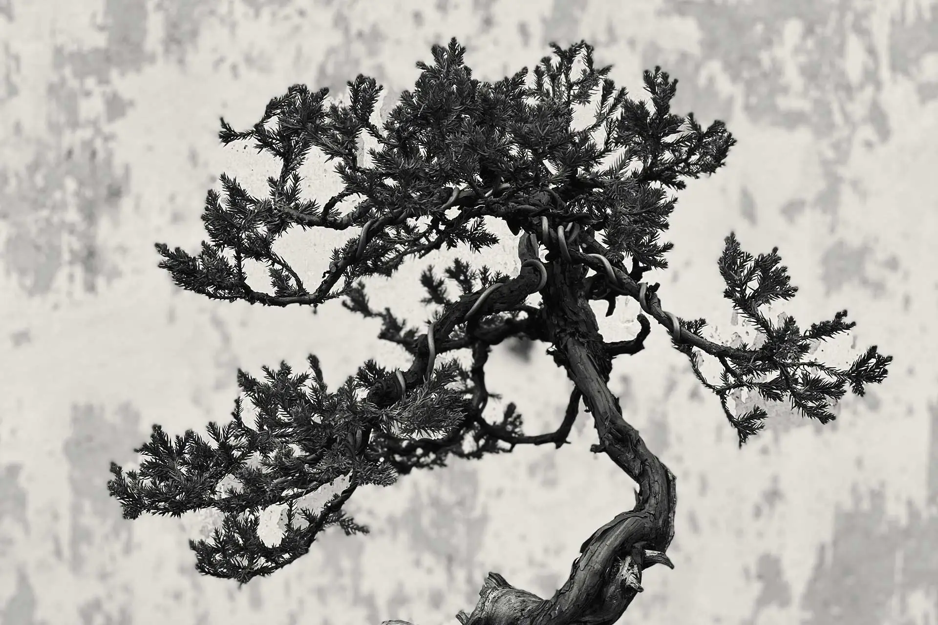 Wabi Sabi approach to design